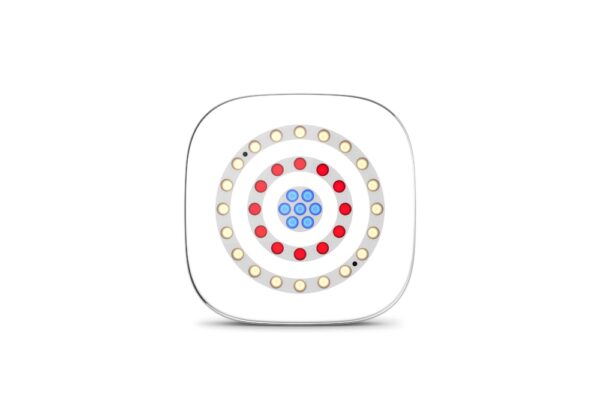Chauvet DJ Freedom Centrepiece Wireless Uplight Pack - Image 3
