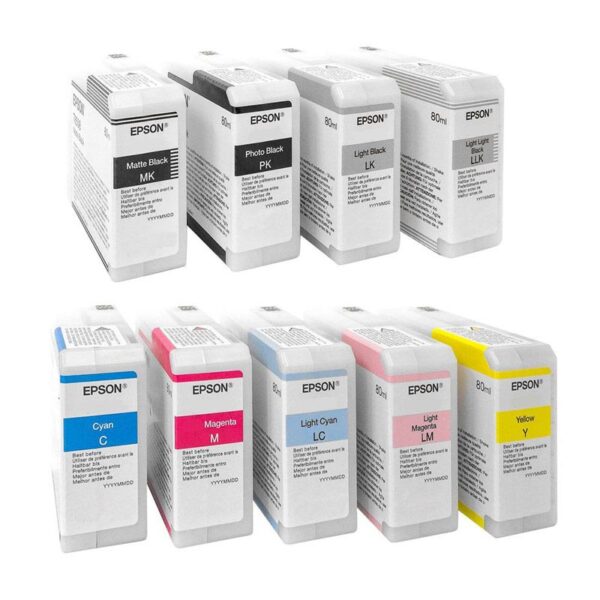 Epson 3880 Full Ink Set - SAVE 10%