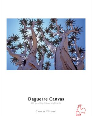 Hahnemuhle Daguerre Canvas (Matte) 24" x 12m Roll