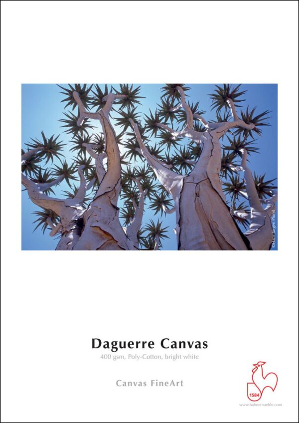 Hahnemuhle Daguerre Canvas (Matte) 24" x 12m Roll