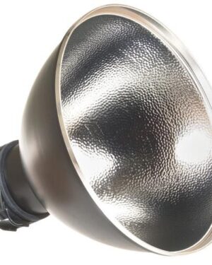 Profoto Magnum Reflector (50 degrees)