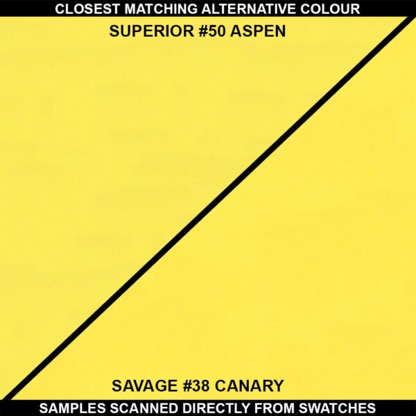 Superior Seamless 50 Aspen Background Paper Roll 1.35m - Image 2