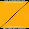 Superior Seamless 35 Yellow-Orange Background Paper Roll 1.35m - Image 2