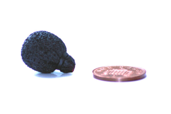 Rycote Neoprene-Coated Mini Lavalier Foam