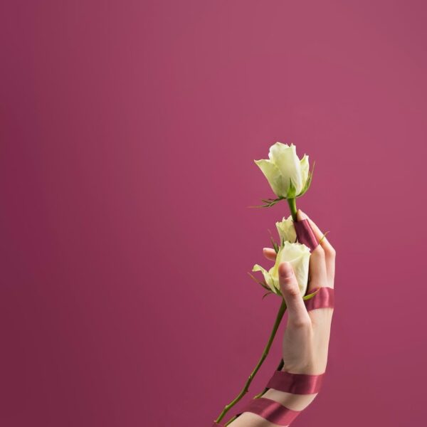 Colorama CO144 Colorama Paper Background 2.72 x 11m Damson - Image 7