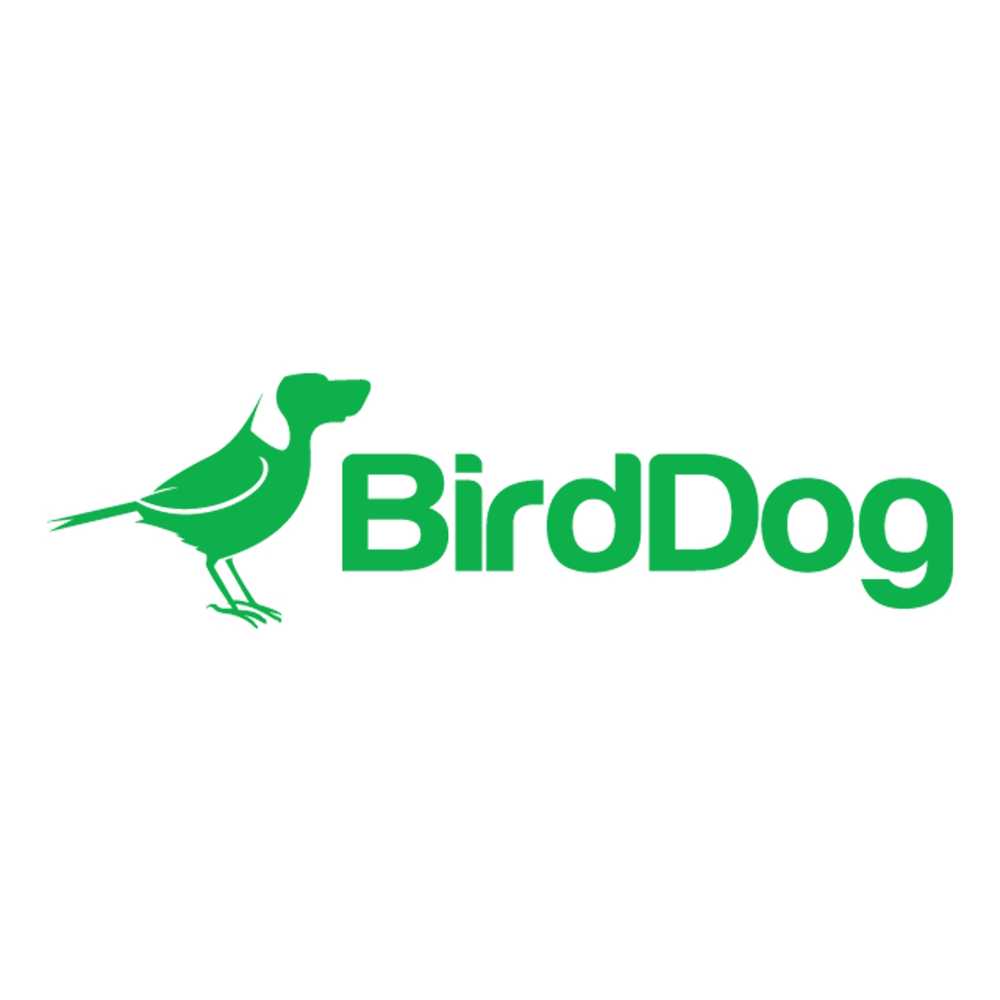 BirdDog