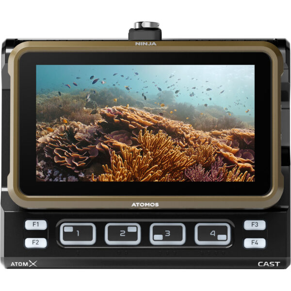Atomos Ninja - Image 8