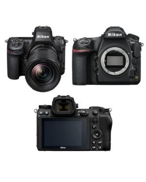 Mirrorless and DSLR cameras