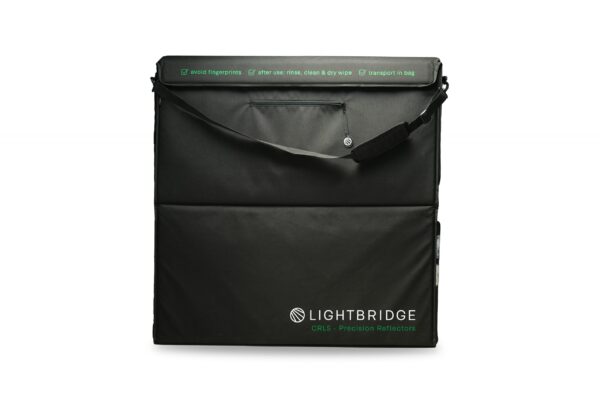 The Light Bridge CRLS C-100 Speed Bag