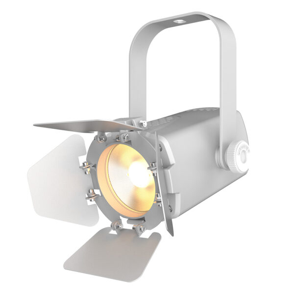 Chauvet DJ EVE TF-20 White Accent Light 20W LED - Image 3