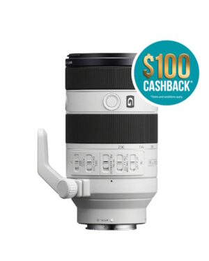 Sony E-Mount FE 70-200mm Macro f/4 G Lens