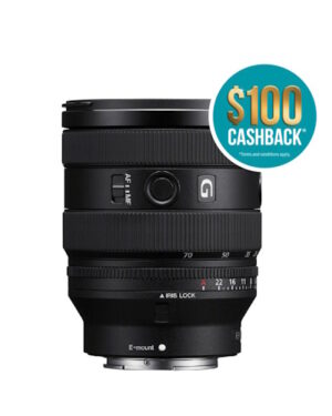 Sony E-Mount 20-70mm f/4 G Lens