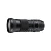 Sigma 150-600mm f/5-6.3 DG OS Contemporary Lens for Canon - Image 4