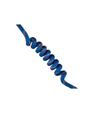 Walkie Woogies 03 - Friendship Blue