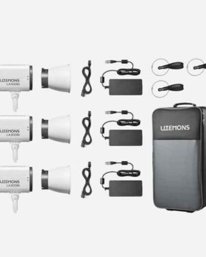Godox Litemons LA300BI-C 3 Light Kit + Roller Case