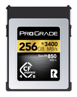 Prograde Digital 256GB CFexpress Type B 4.0 Memory Card (Gold)