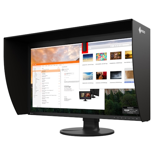 Eizo ColorEdge CG3100X 4K 30.5" Monitor