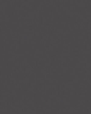 Rosco 7300 Polarizing Filter 17" x 10' Roll