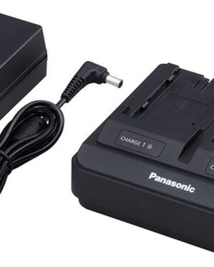 Panasonic Dual Fast Charger