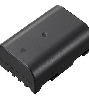 Panasonic DMW-BLF19E Rechargeable Battery