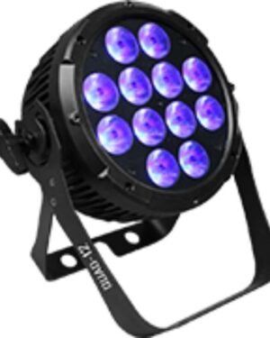 ShowPro LED PAR Quad-12